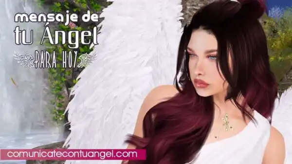 Hoy tu ángel te dice: El amor que das comienza en ti